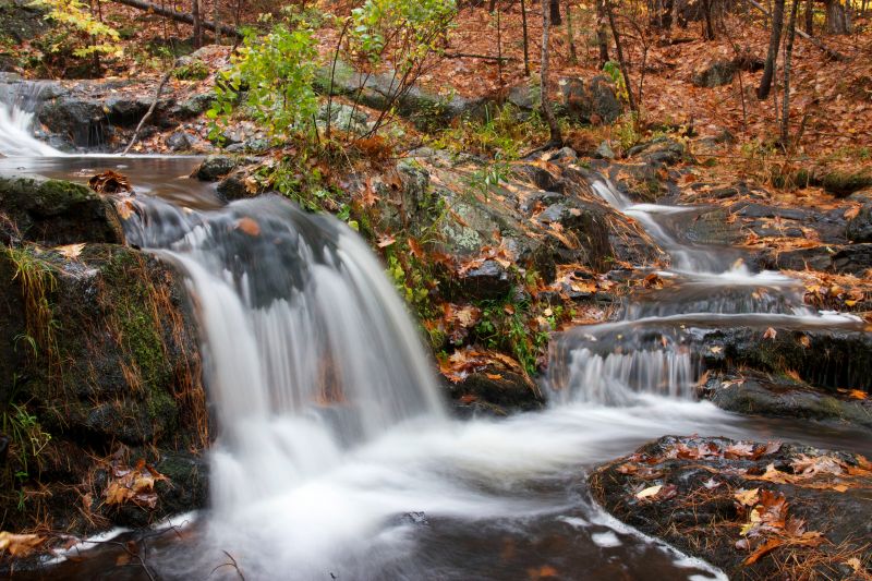 water-rocks-stream-leaves.jpg